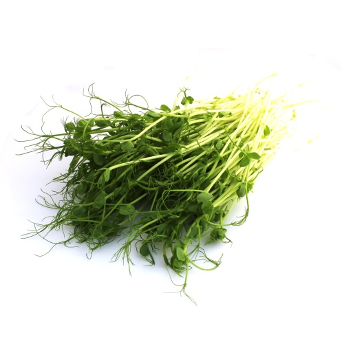 Hrach affyla semená na klíčenie a microgreens 5 kg